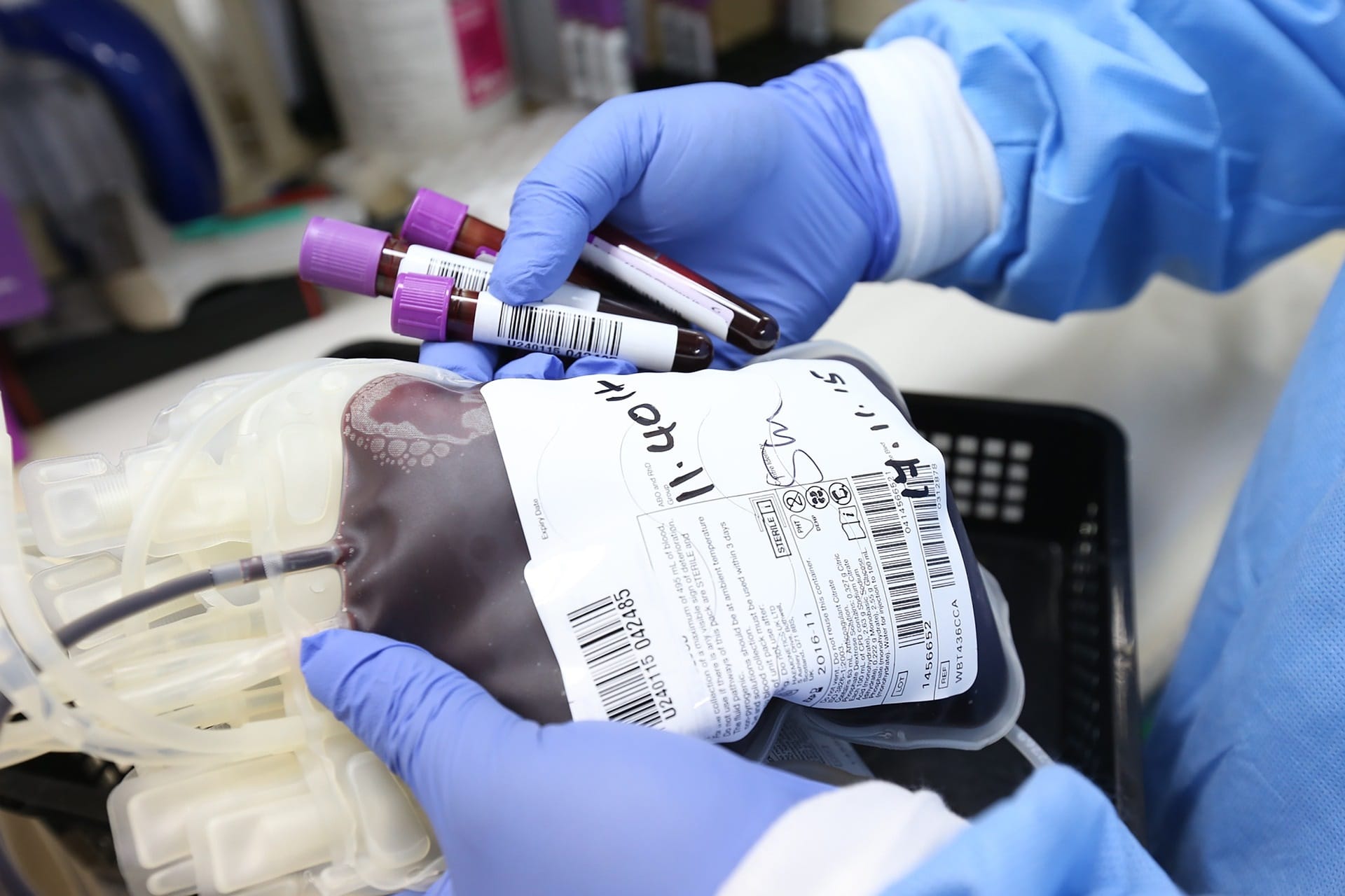 Healthcare worker holding vials of blood