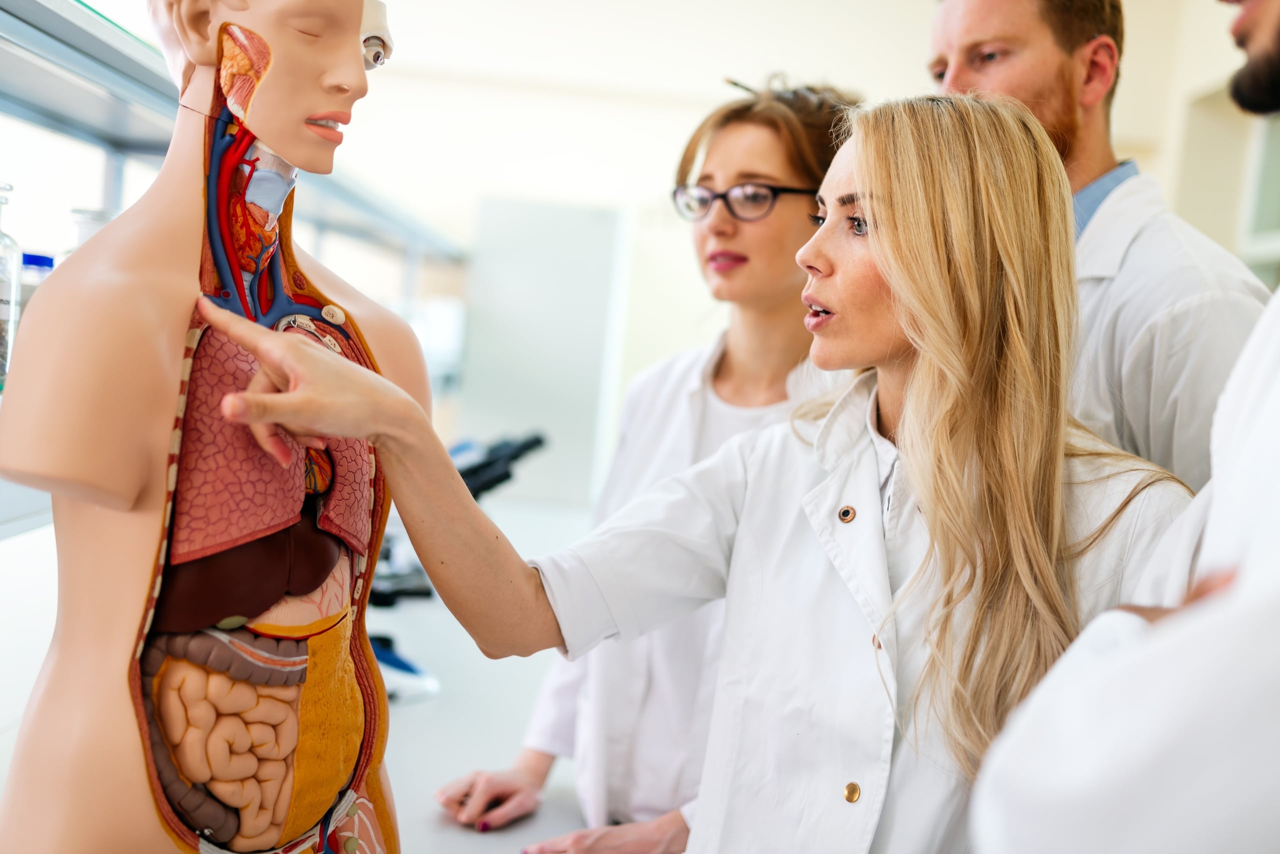 Group of medical students studying the anatomy of a mannequin